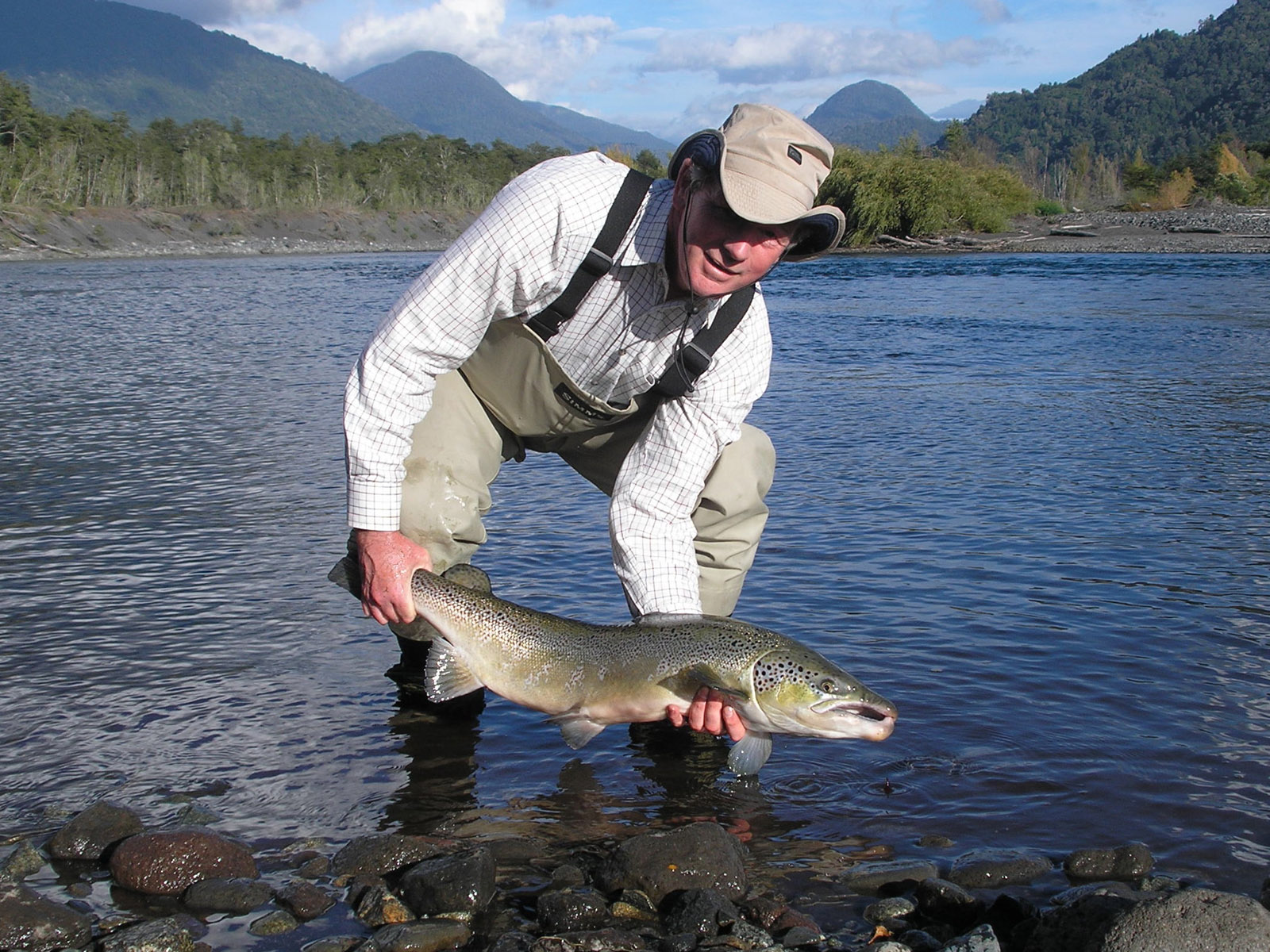 In this photo Adam lifts an Atlantic salmon that took a fly in the most prolific salmon pool of the Petrohue river.
